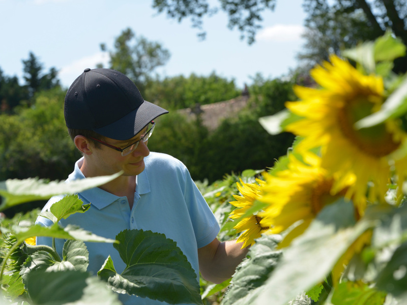 Tournesol Bio : les clés pour sécuriser l’implantation