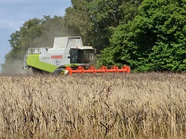 Pourquoi pratiquer la rotation des cultures en Agriculture Bio ?