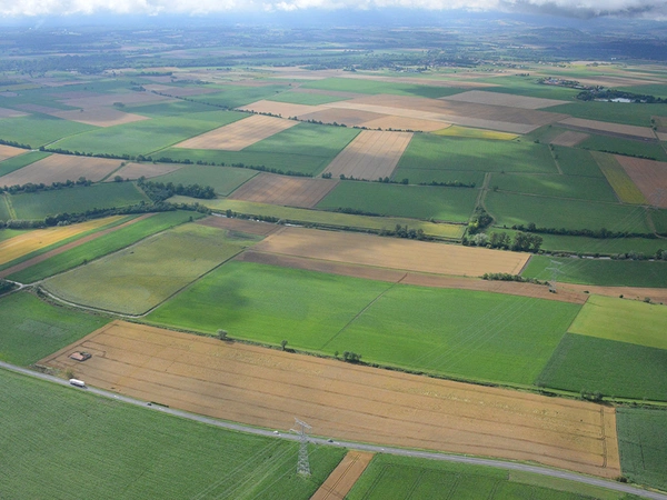 5 critères à prendre en compte pour construire sa rotation en Bio