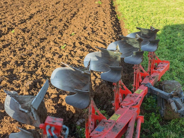 Optimiser sa rotation en Agriculture Biologique en 4 étapes