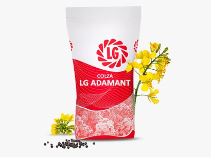 LG ADAMANT Visuel