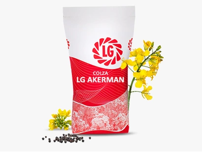 LG AKERMAN Visuel