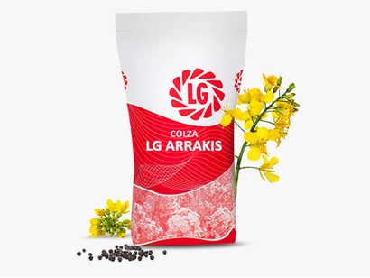 LG ARRAKIS Visuel