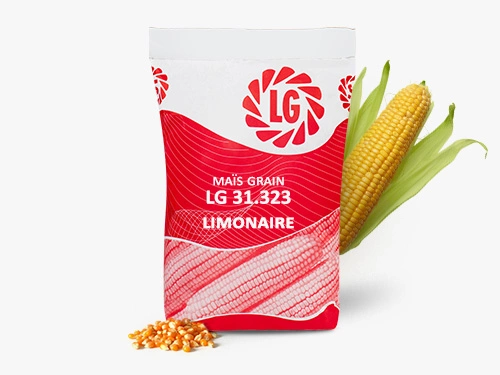 LG 31.323 LIMONAIRE