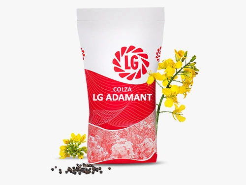 LG ADAMANT