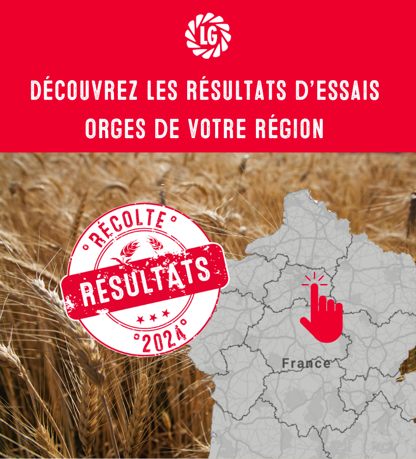 Résultats d'essais orges d'hiver 2024