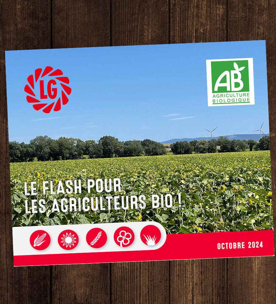 Le Flash Bio n°6 est sorti ! Découvrez-le !